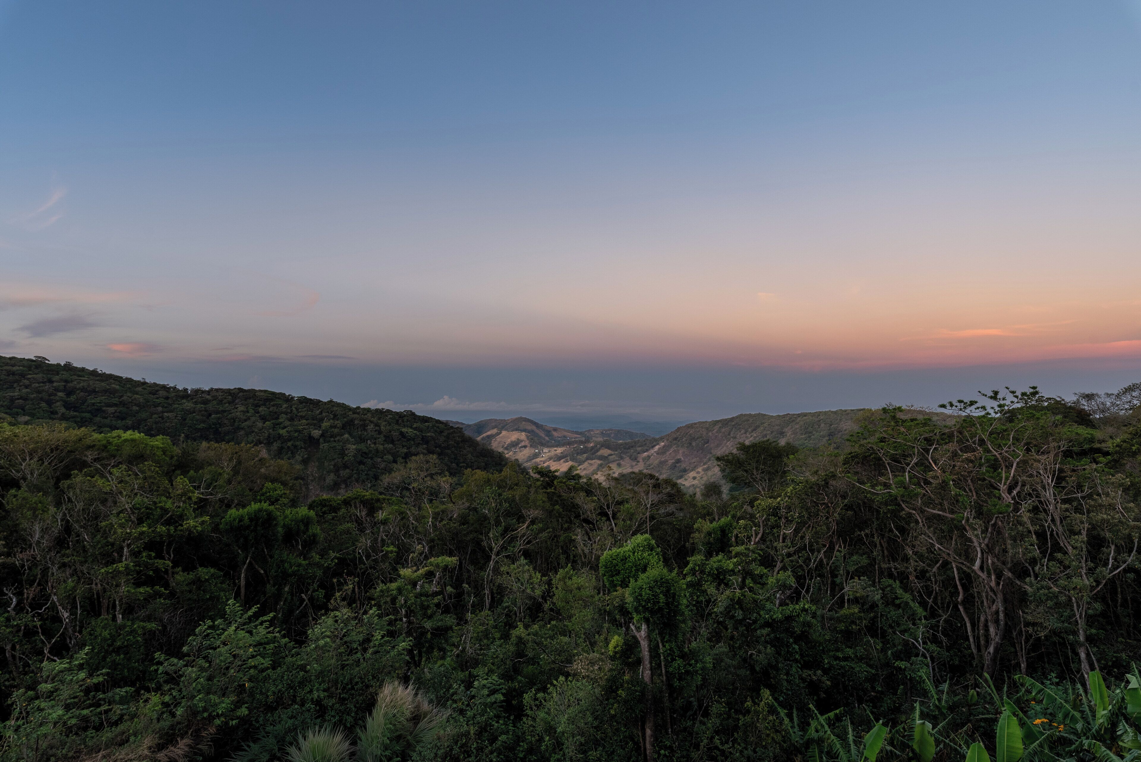 A mountainous landscape with dense forest.