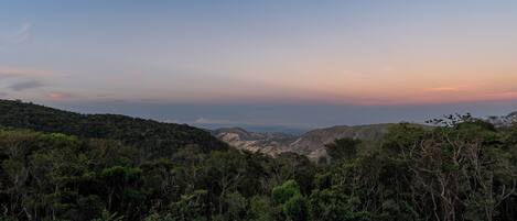 A mountainous landscape with dense forest.
