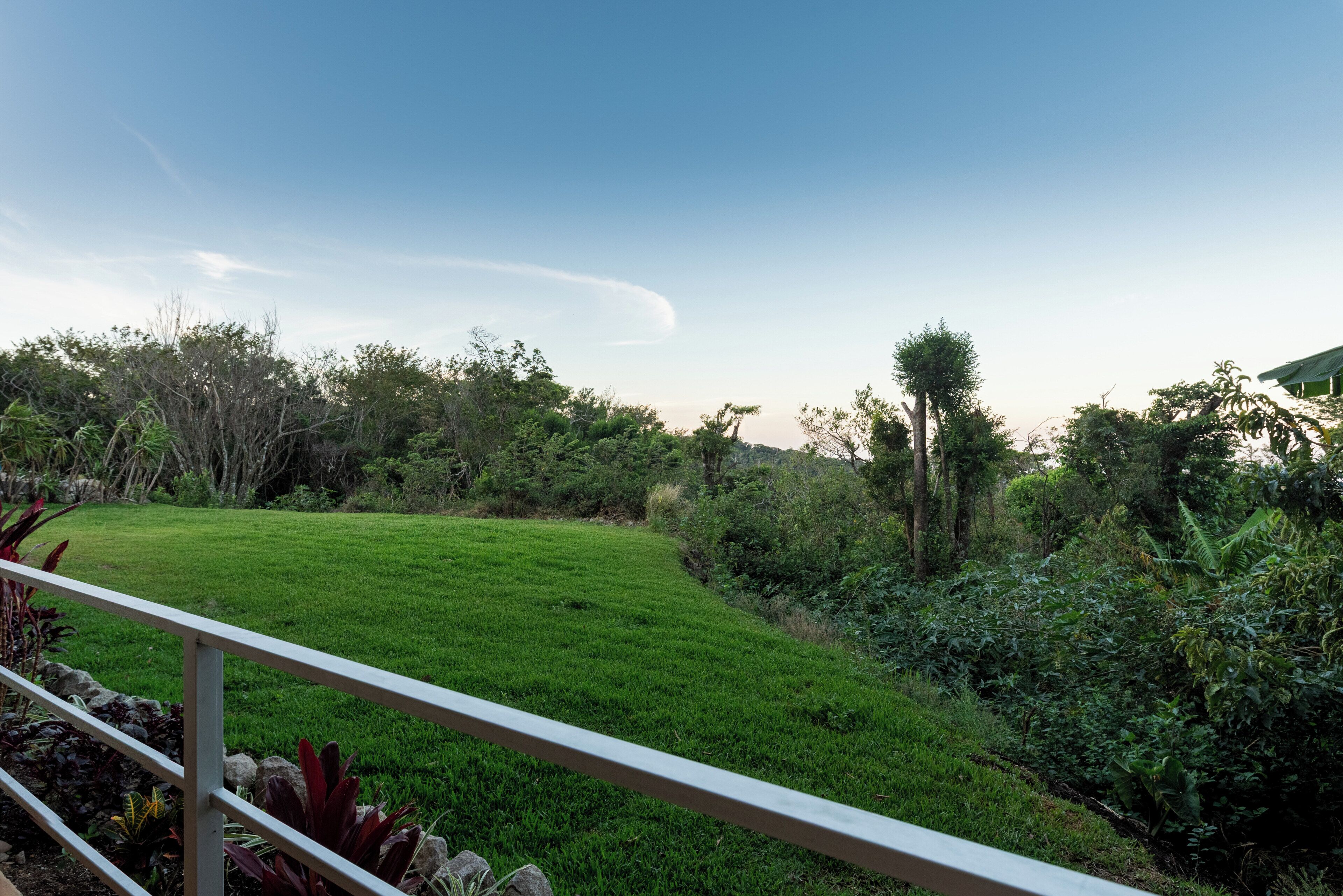A grassy area with a white railing, surrounded by dense vegetation and trees.