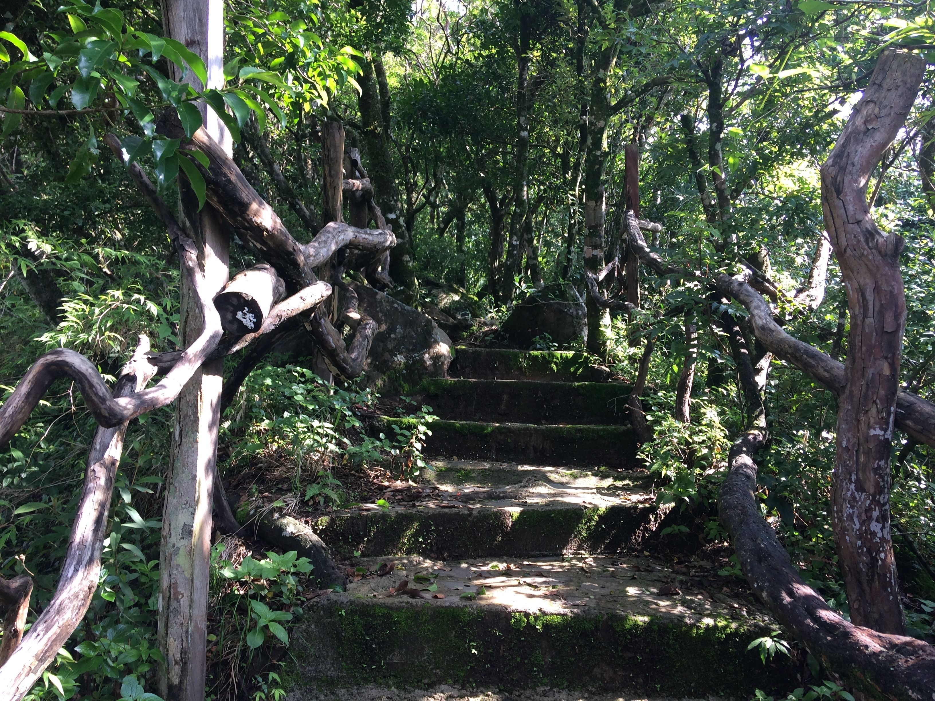 Photo - Valle Escondido Nature Reserve Hotel & Farm