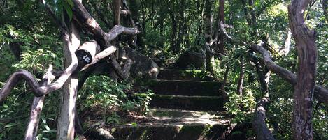 行山