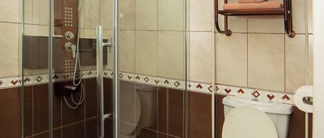 A bathroom with a glass-enclosed shower, a toilet, and a towel rack.