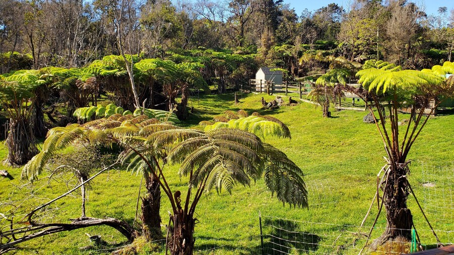 Volcano Acres Ranch B&B