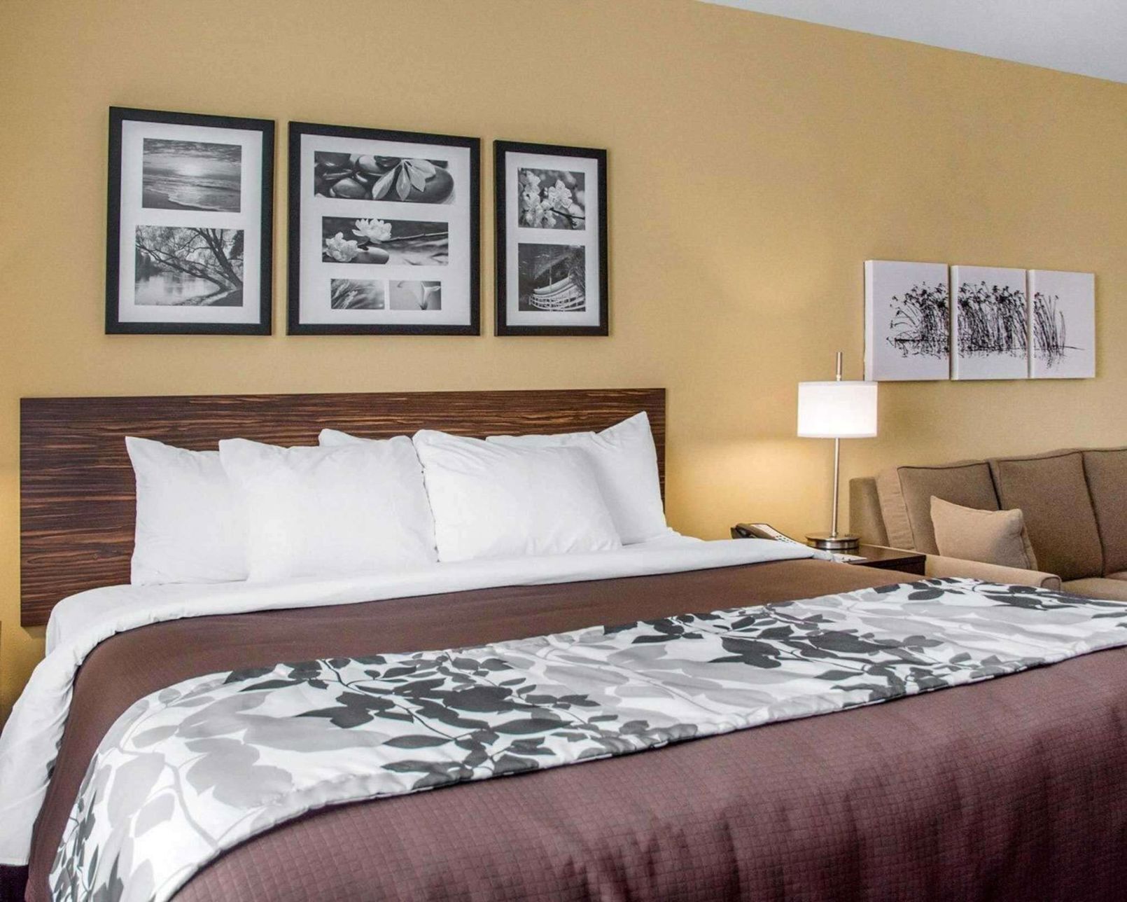 Egyptian cotton sheets, premium bedding, down comforters