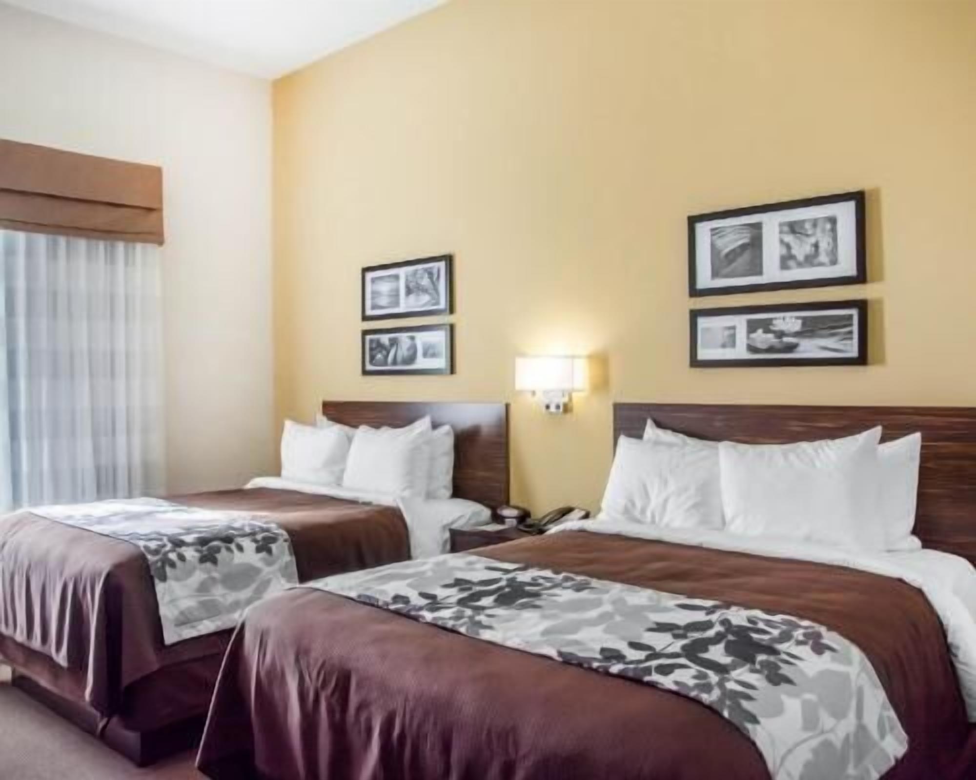 Egyptian cotton sheets, premium bedding, down comforters