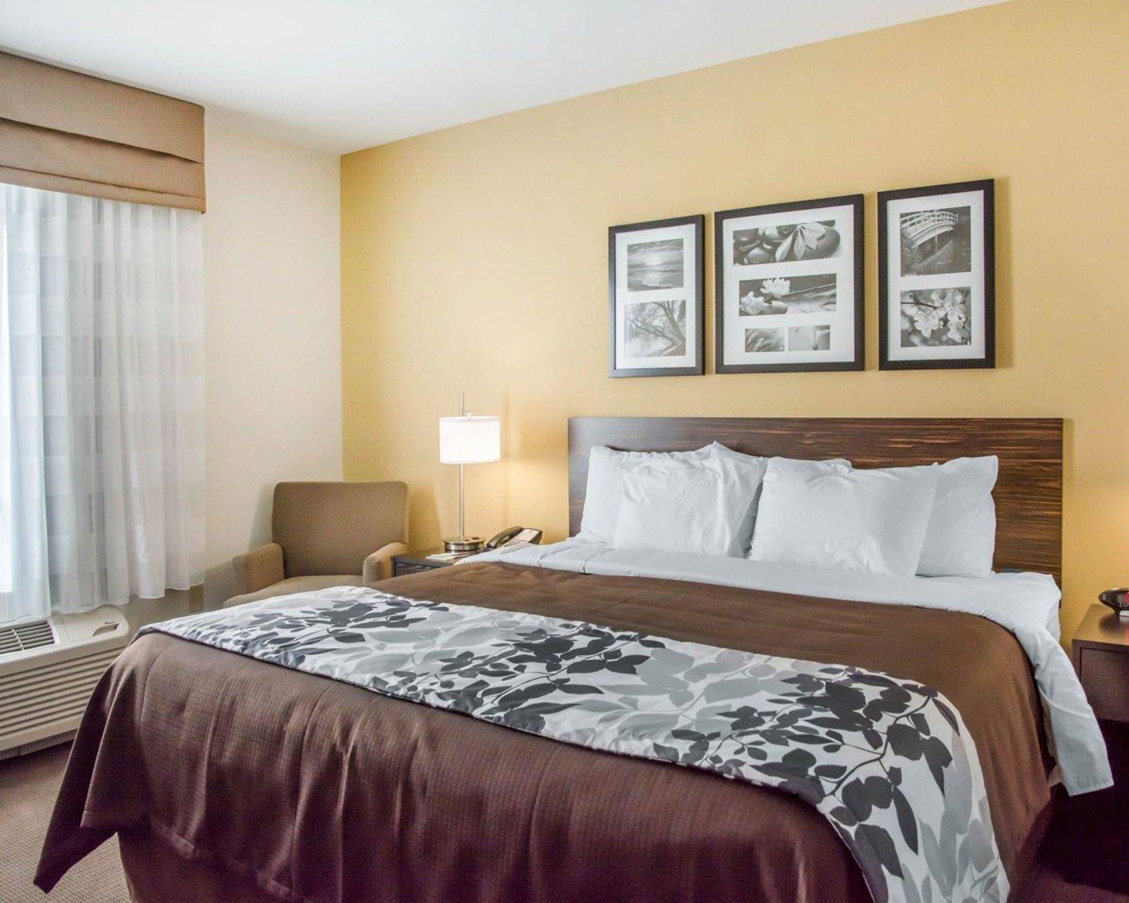 Egyptian cotton sheets, premium bedding, down comforters