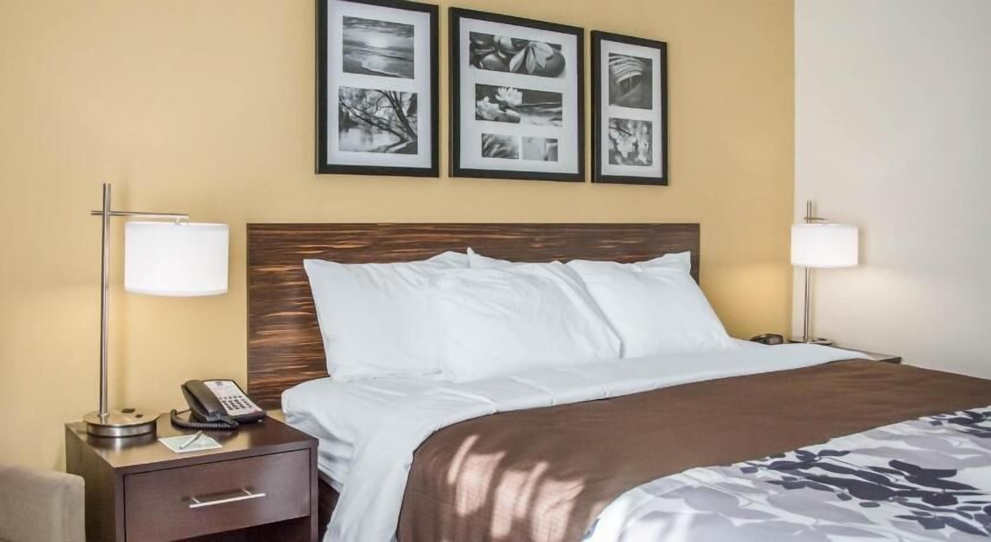 Egyptian cotton sheets, premium bedding, down comforters