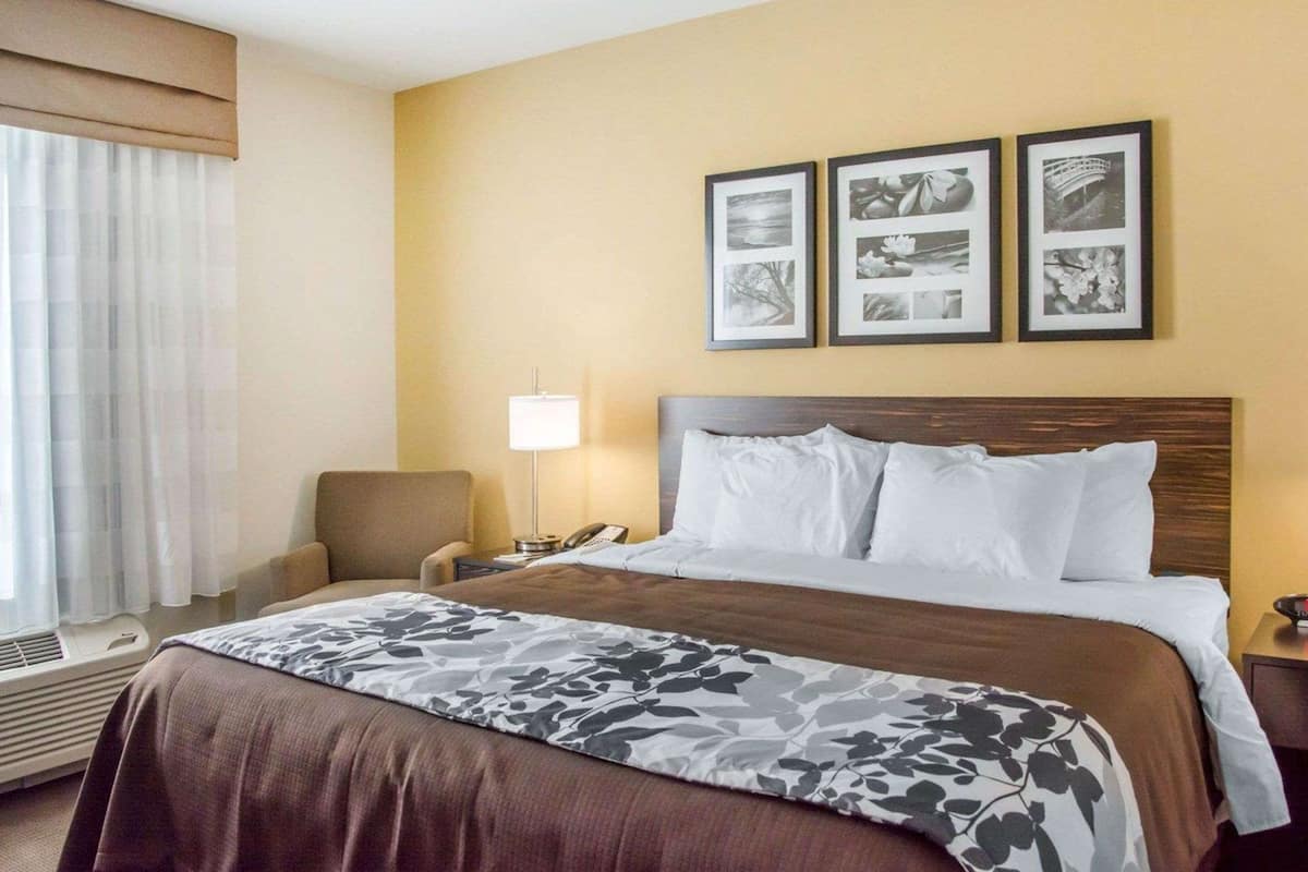 standard room, 1 king bed, non smoking | egyptian cotton sheets, premium bedding, down duvets, memory-foam beds