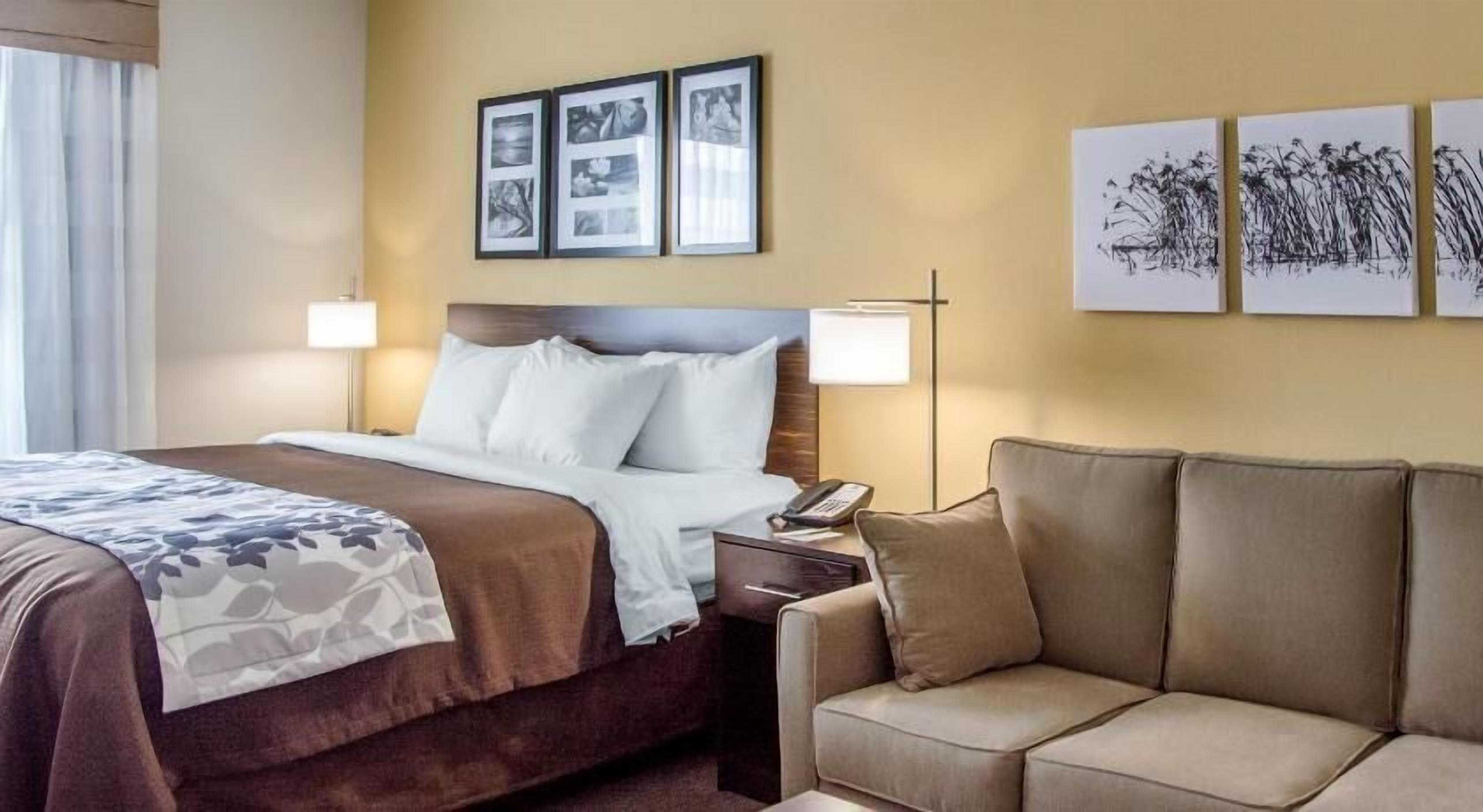 Egyptian cotton sheets, premium bedding, down comforters
