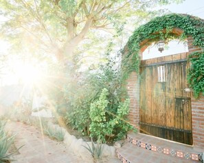 Property grounds - La Bohemia Hotel Pequeno (Todos Santos)