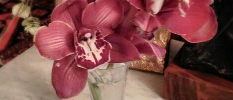 A vase with pink orchids on a marble surface.