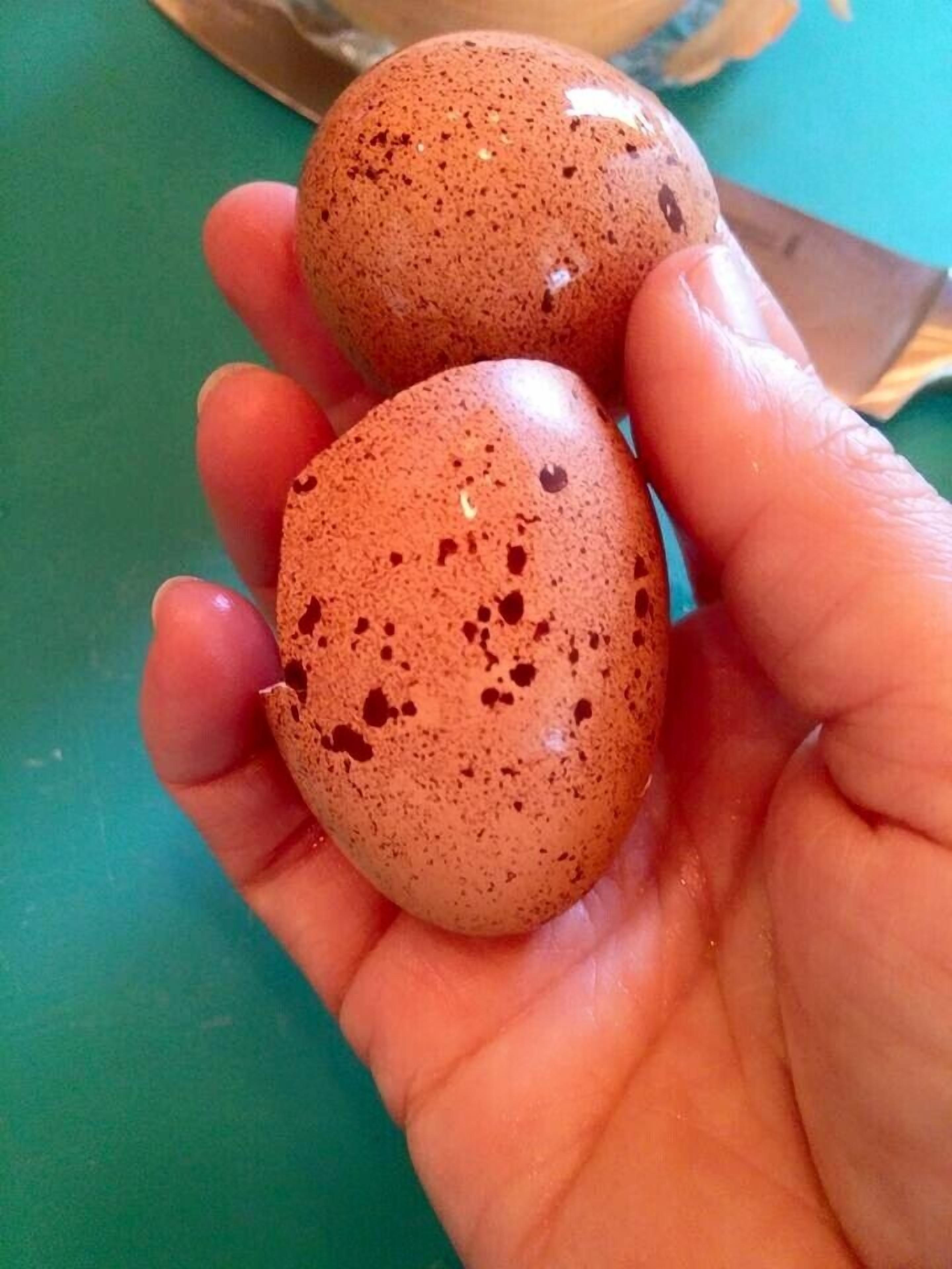 A hand holding two speckled eggs.