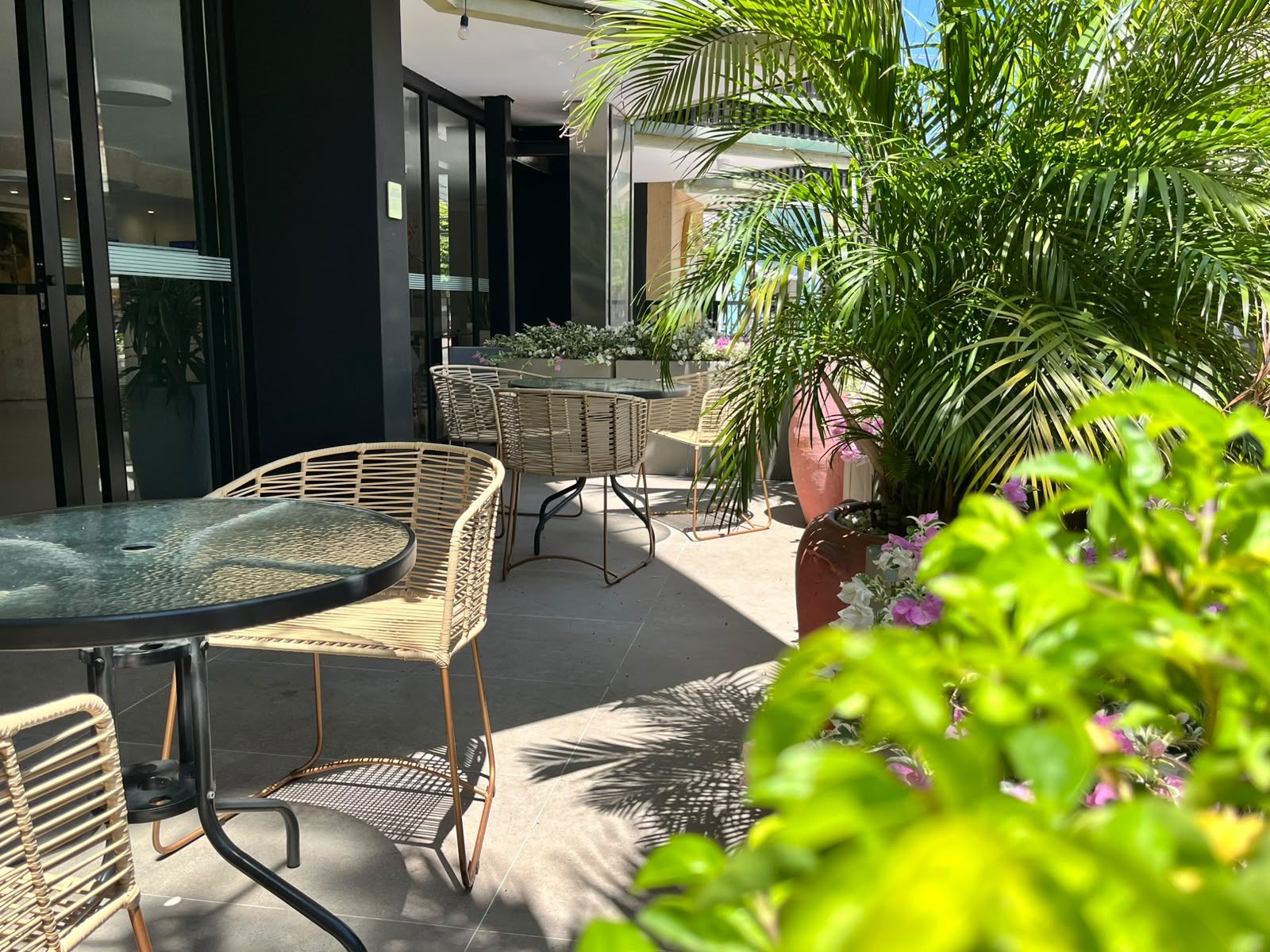 Terraza o patio