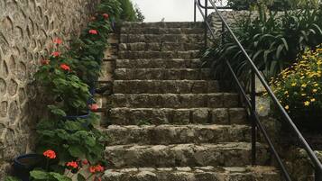 A stone staircase with a metal handrail, surrounded by potted plants and flowers.