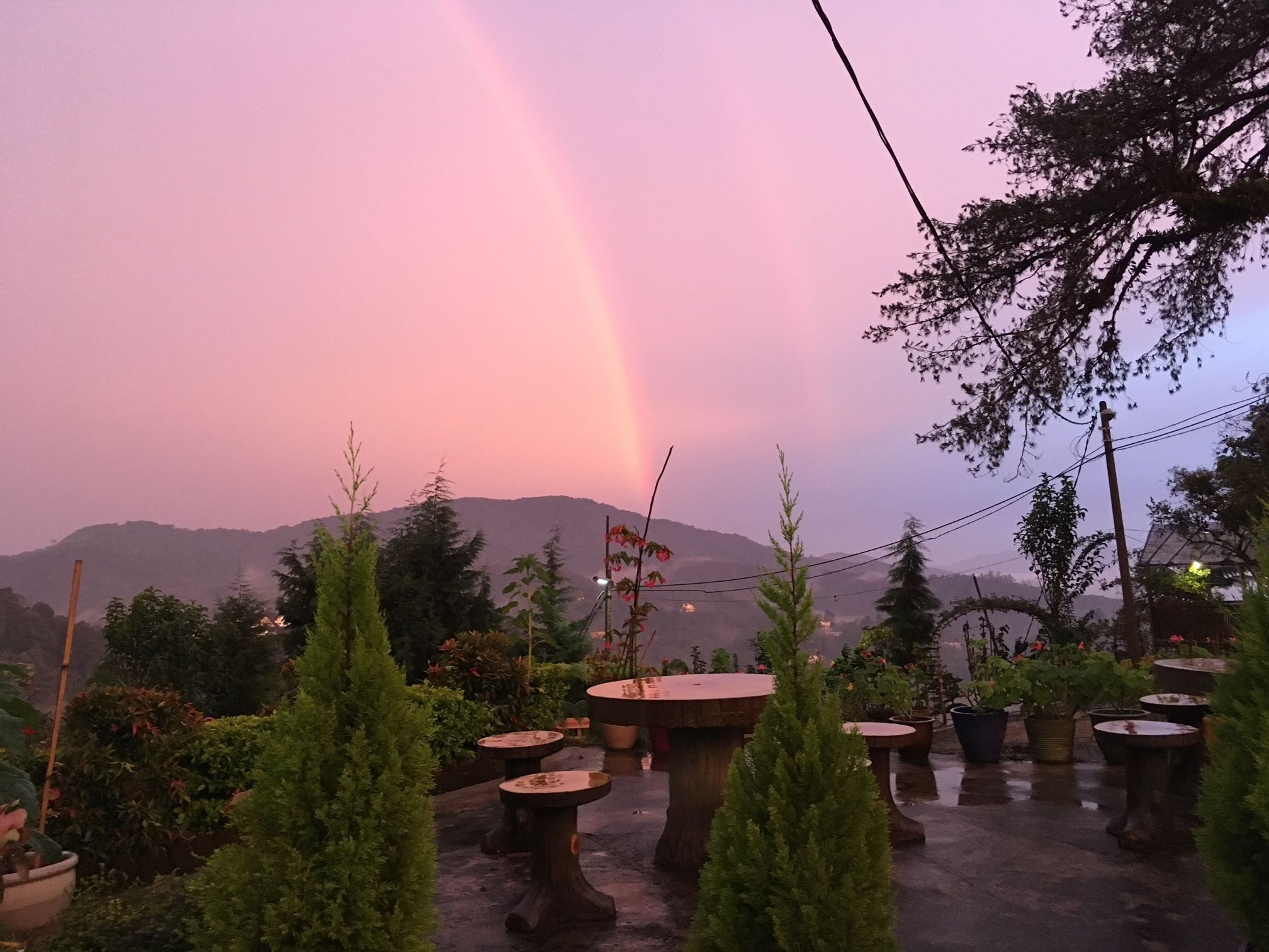 Ein Garten mit Blumentöpfen und einem Tisch, umgeben von Bäumen und einem Berg im Hintergrund.