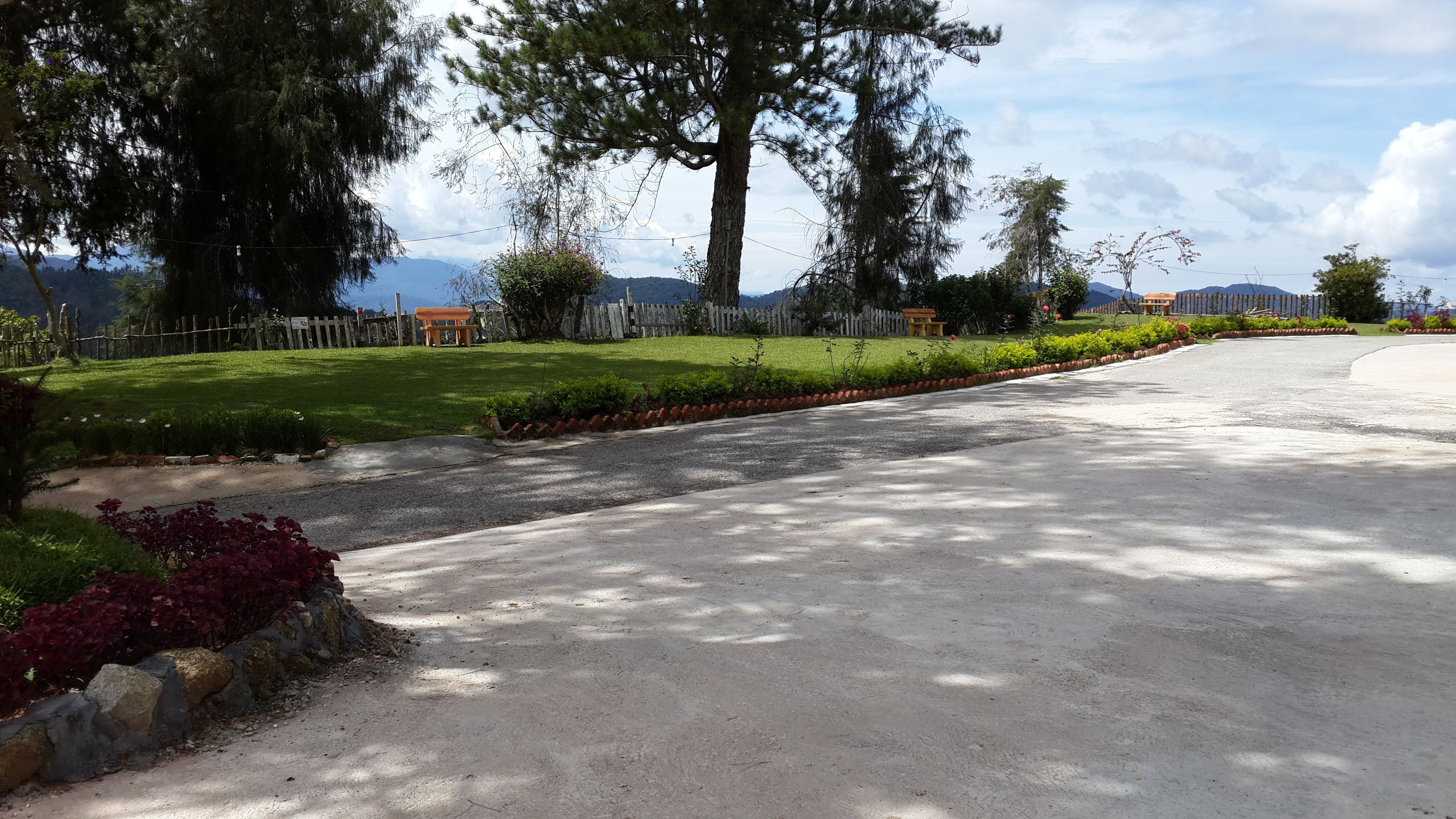 A paved driveway leading to a residential area with a grassy lawn, trees, and a wooden fence.