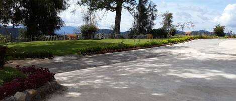 A paved driveway leading to a residential area with a grassy lawn, trees, and a wooden fence.