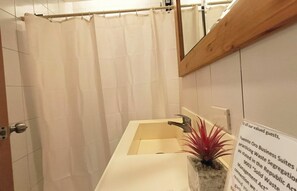 Superior Family Room | Bathroom