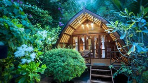 Una cabaña de madera con techo inclinado, rodeada de vegetación exuberante y una pequeña piscina.