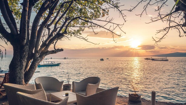 Una terraza frente al mar con muebles de mimbre y un gran árbol, con vistas a aguas tranquilas y barcos.