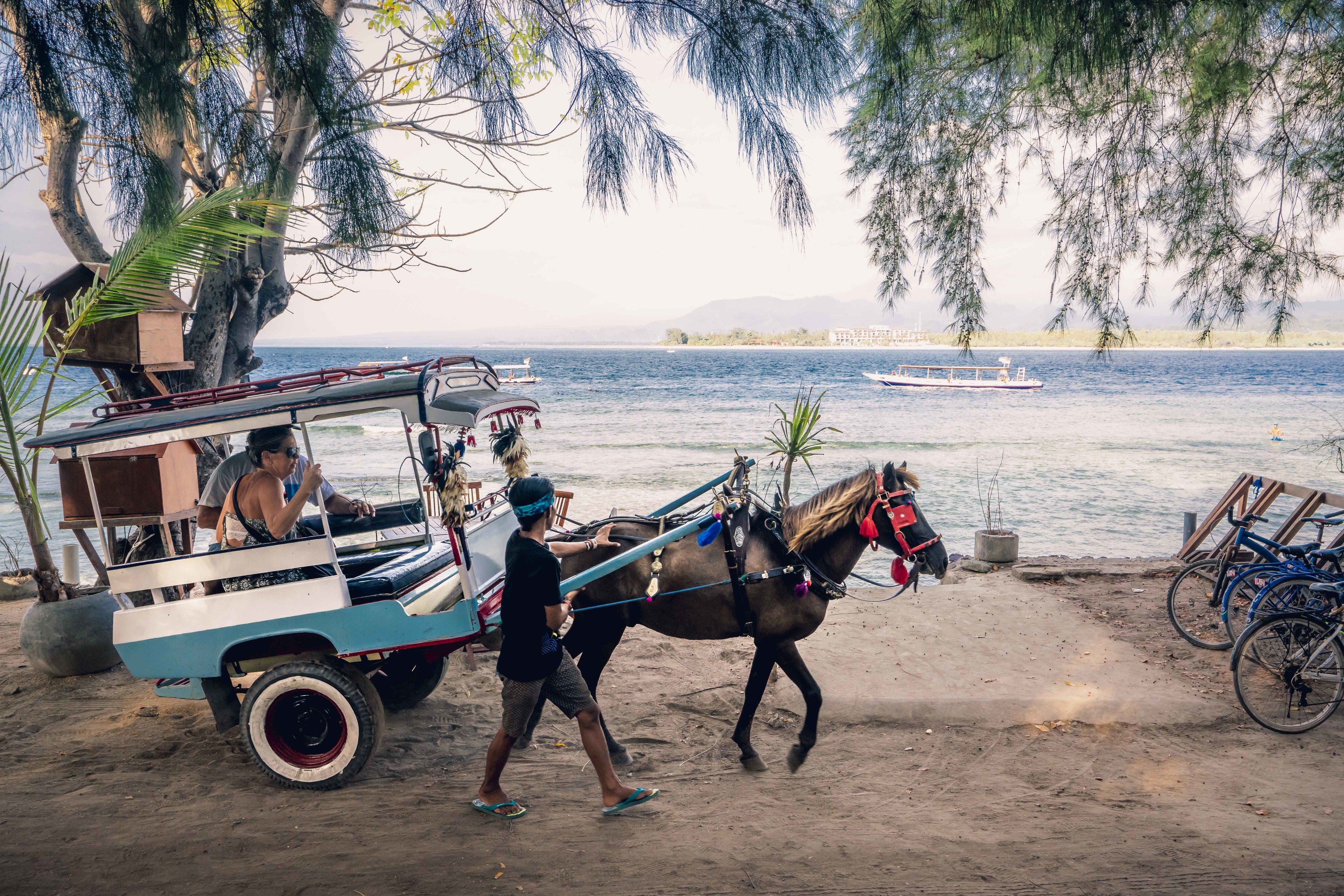 Photo - Manta Dive Resort Gili Air
