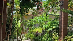 A narrow pathway flanked by lush greenery and potted plants, leading to a building with a tiled roof. - Mai Phuong Binh Bungalow (Phu Quoc)