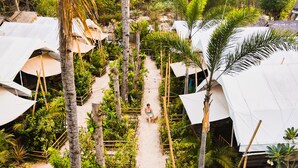 A tropical resort with thatched-roof huts and a central pathway surrounded by palm trees. - La Cocoteraie Ecolodge- Glamping (Gili Trawangan)