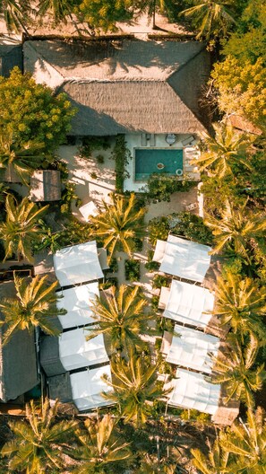 An aerial view of a resort with a pool, thatched-roof buildings, and numerous palm trees. - La Cocoteraie Ecolodge- Glamping (Gili Trawangan)