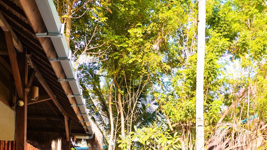 La Cocoteraie Ecolodge- Glamping