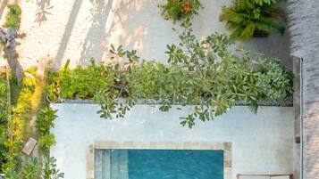 Outdoor pool, pool loungers