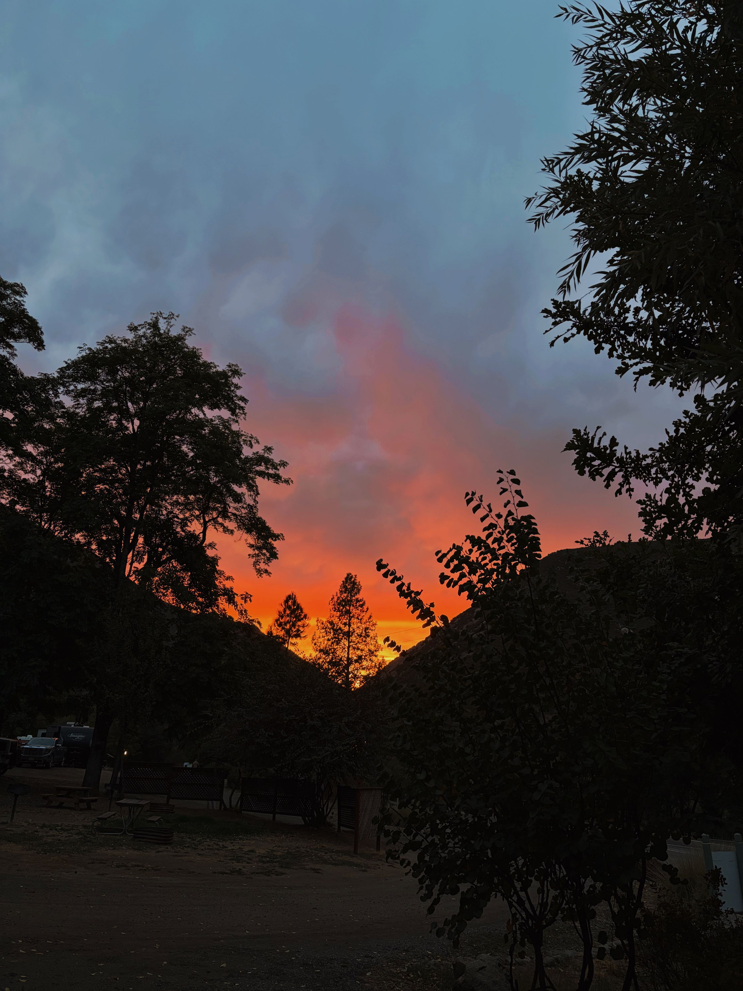 Um parque com árvores e um pôr do sol.