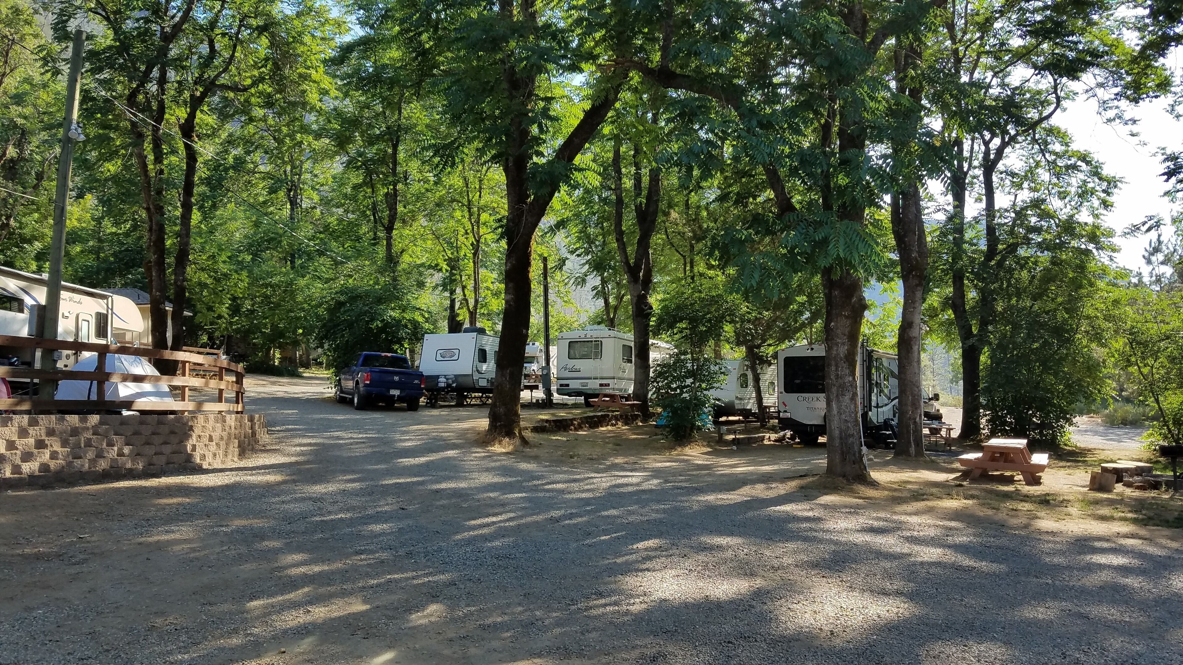 Un camping con vehículos recreativos estacionados a lo largo de un camino de grava, rodeado de árboles.