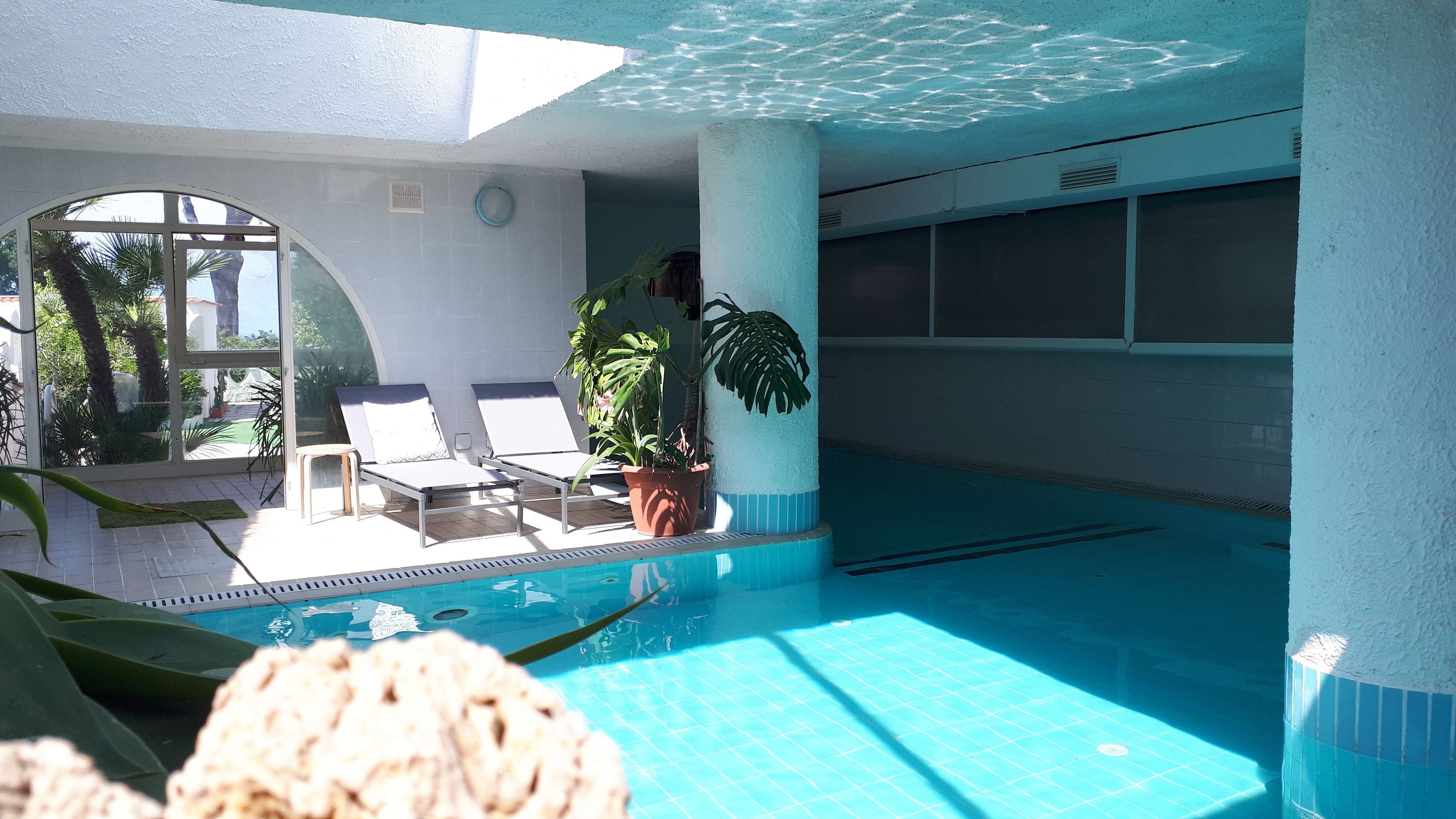 Piscina com espreguiçadeiras e plantas em vasos.