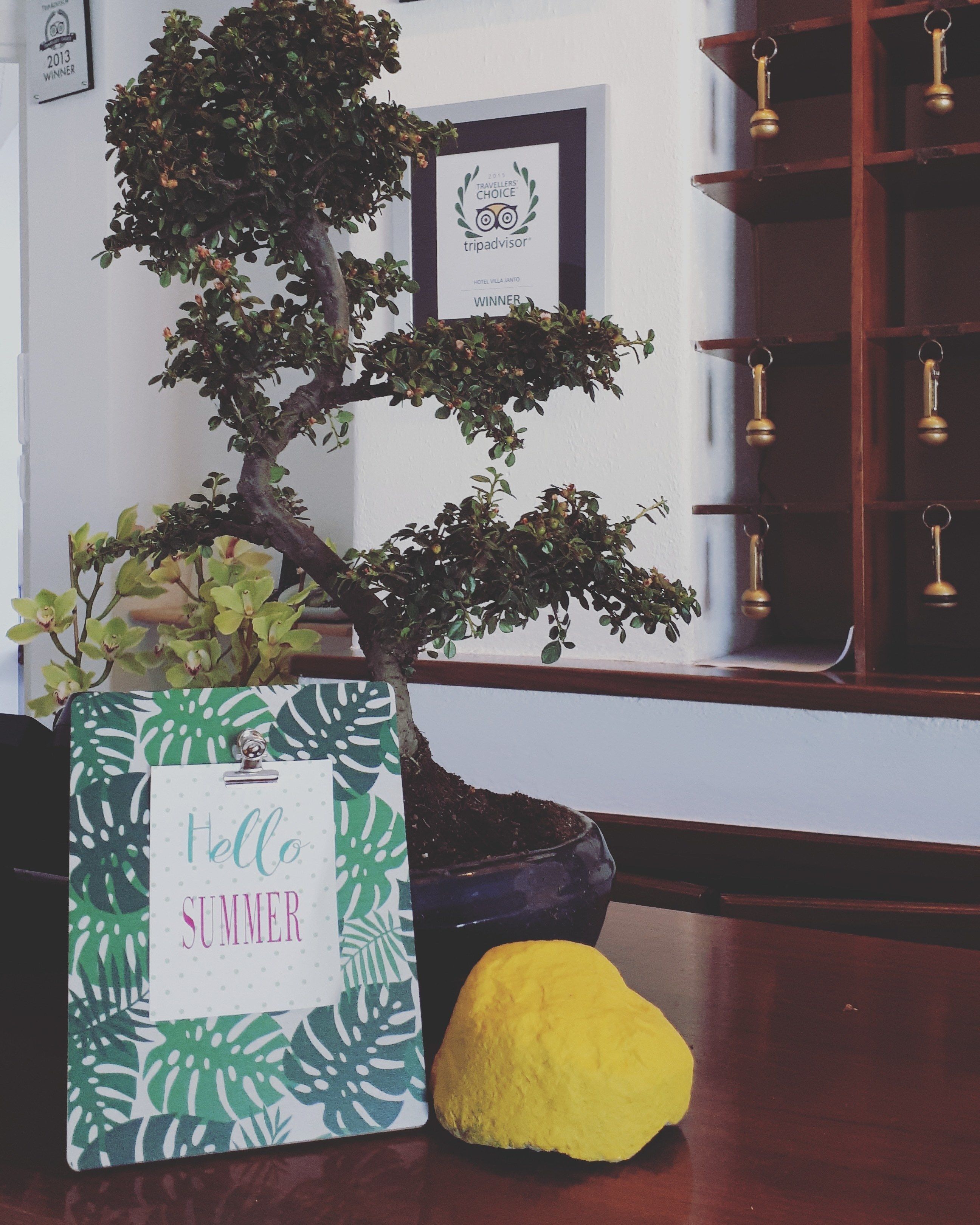 Photo - Paradise Relais Villa Janto'