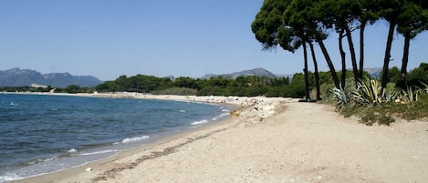 ใกล้ชายหาด, วอลเลย์บอล