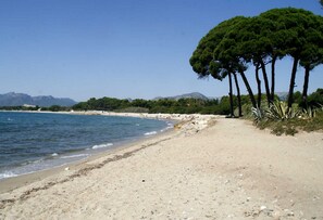 A beach with a clear sky, a sandy shore, and a row of tall trees. - AP Costas - Camping Playa y Fiesta (Mont-roig del Camp)