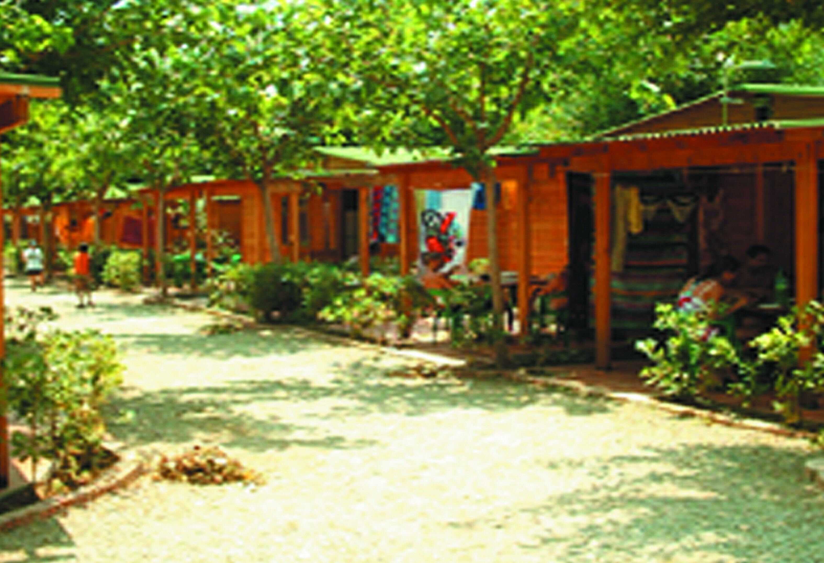 Foto - Camping Playa y Fiesta