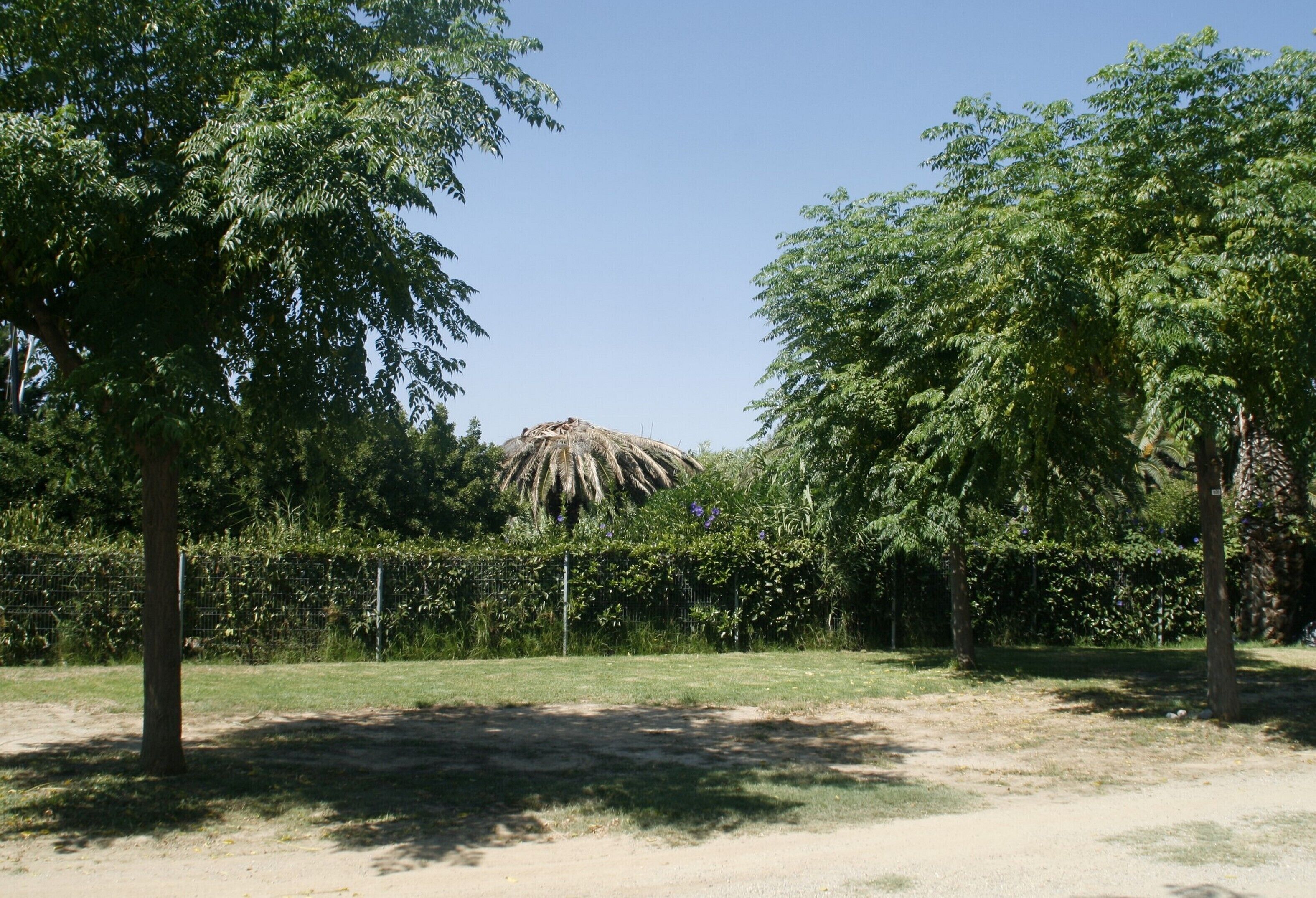 Foto - Camping Playa y Fiesta