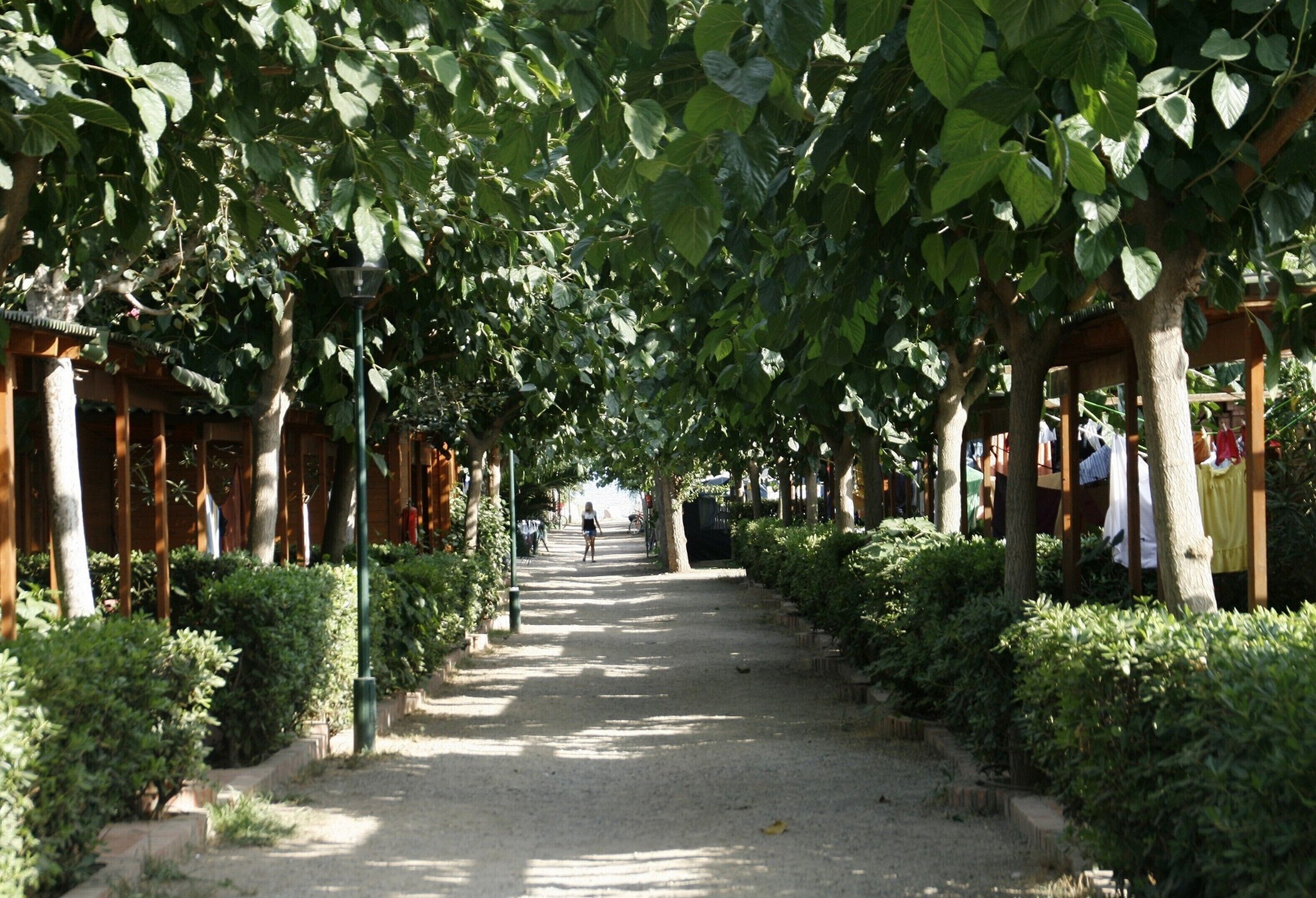 Foto - Camping Playa y Fiesta