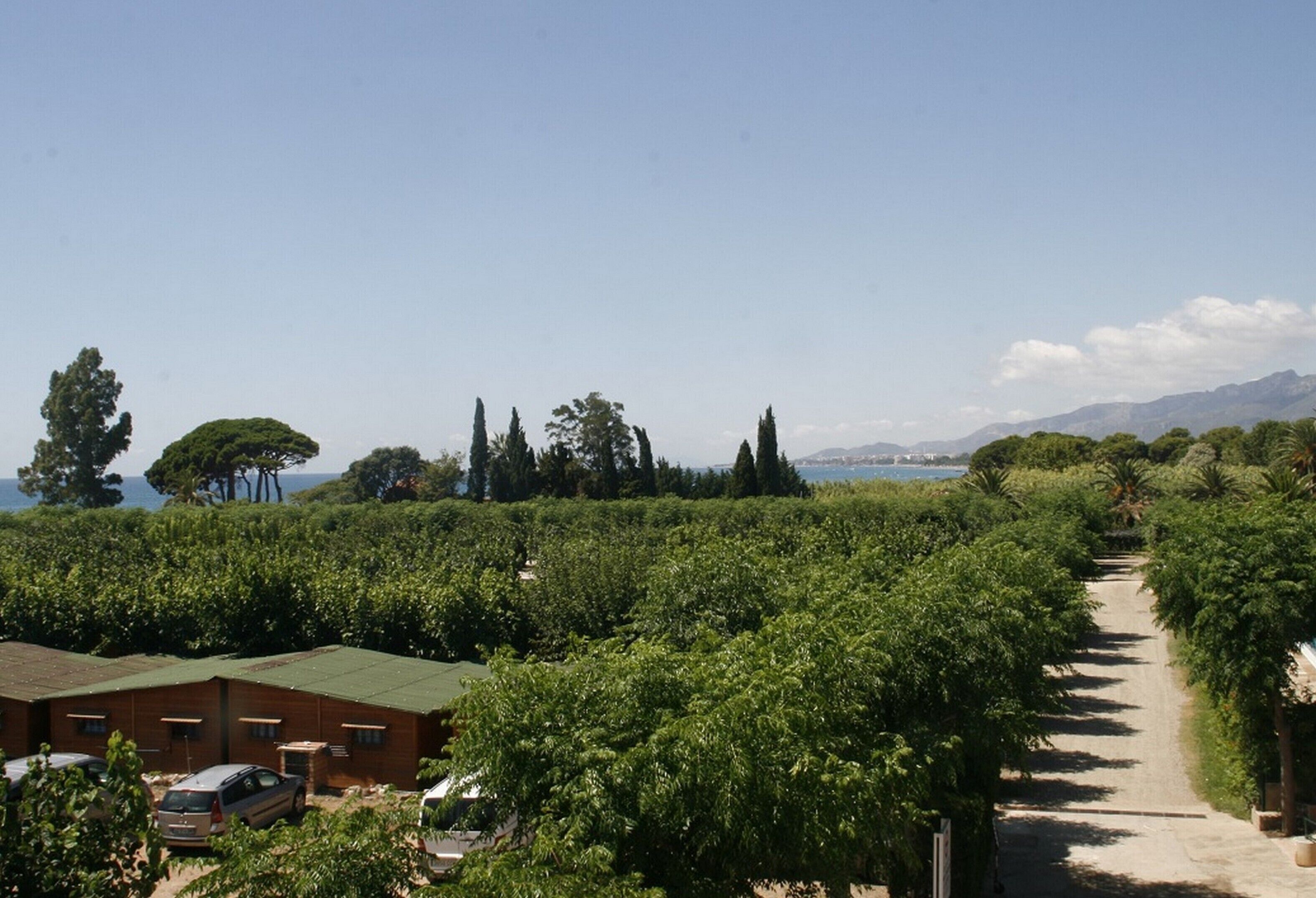 Foto - Camping Playa y Fiesta