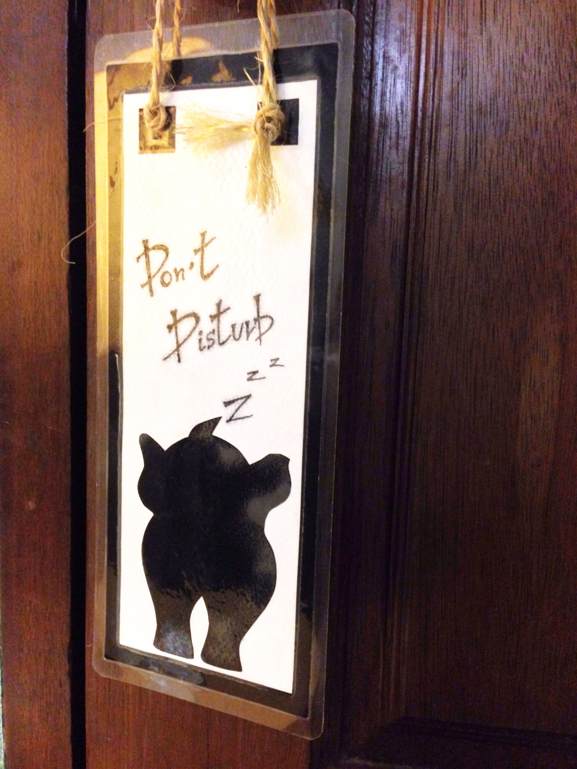 A framed sign with a silhouette of a cat and the text "Don't Pustub" and "Zzz" on a wooden door.