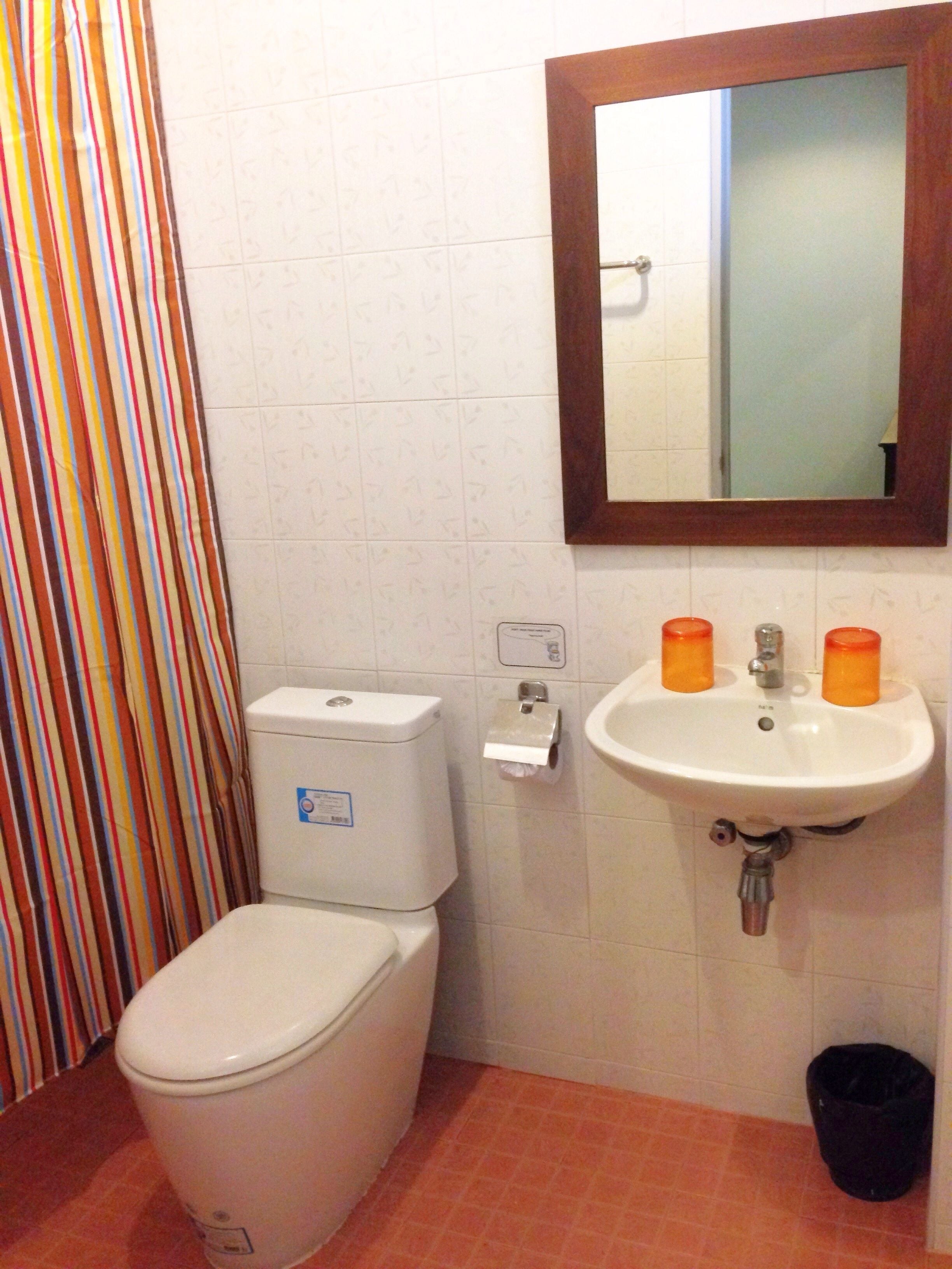 shower, free toiletries, hair dryer