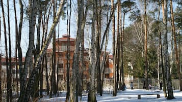 A snow-covered park with birch trees and a building in the background.