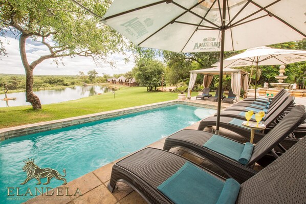 Outdoor pool, pool umbrellas, pool loungers