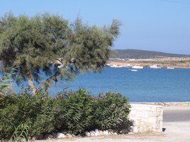 Vista desde la propiedad