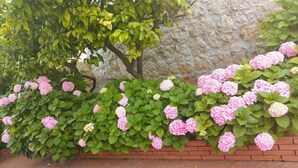 Cachepot de tijolo com flores de hortênsia rosa e folhagem verde.