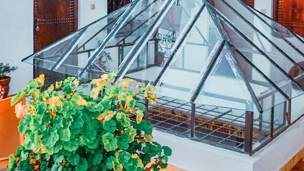 A greenhouse structure with a glass roof, surrounded by a courtyard with terracotta tiles and potted plants. - Dar Rehla (Tetouan)