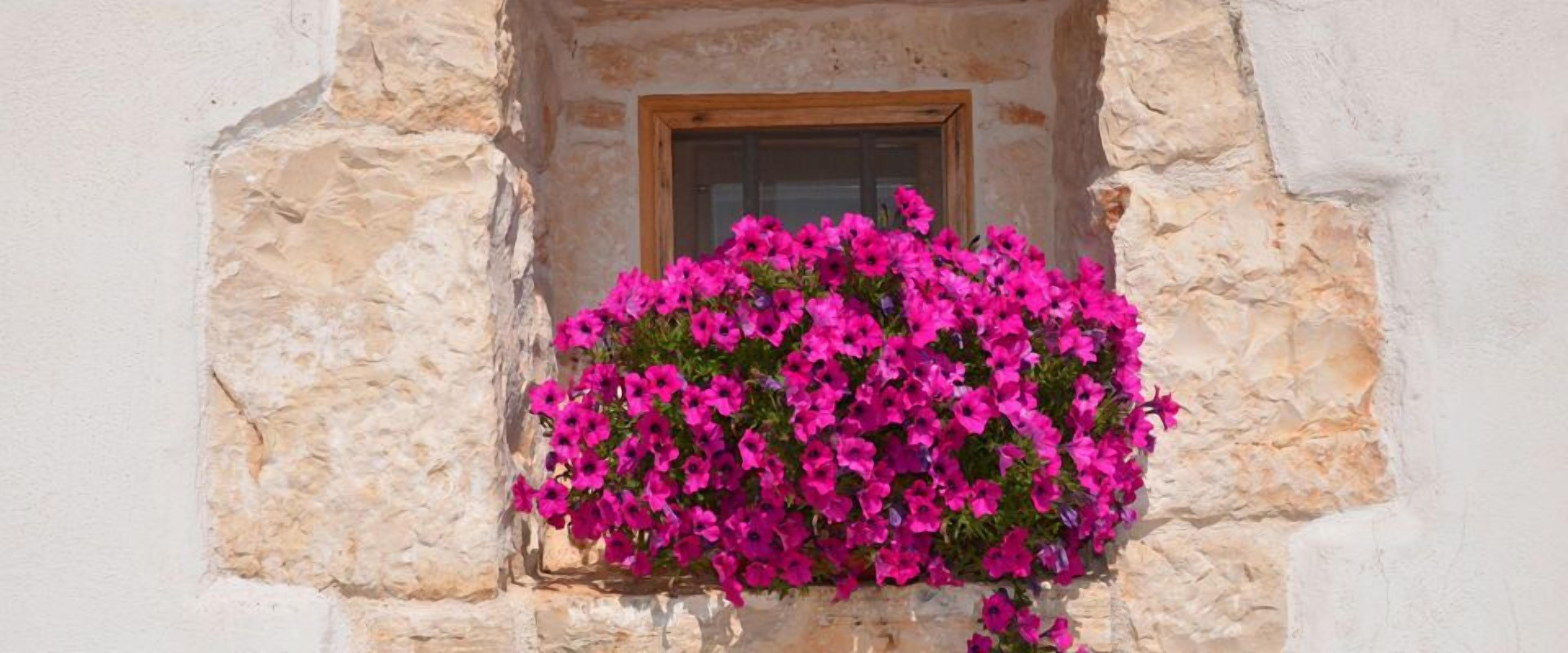 Photo - Trulli Terra Magica