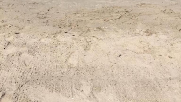 Una playa arenosa con agua turquesa cristalina y cielo despejado.