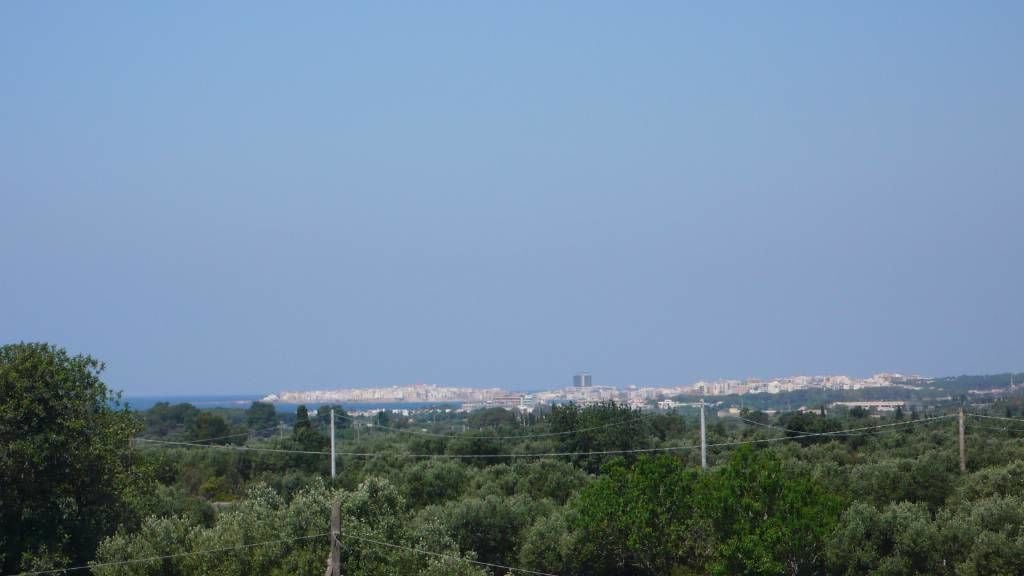 Photo - Terra e colori